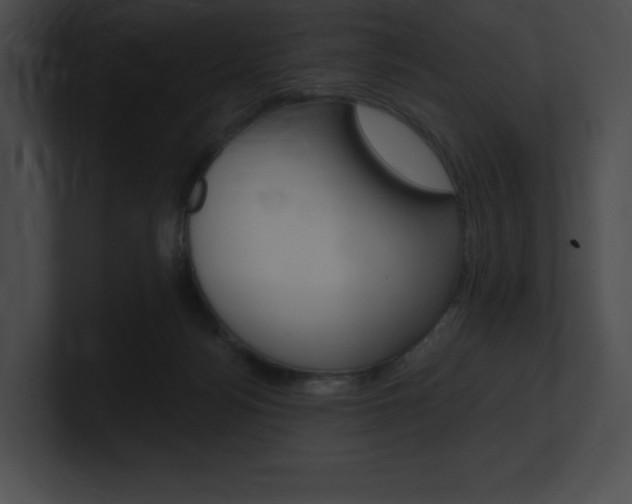X0000101160172200806270740