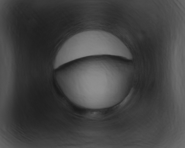 X0000101160174200806270740