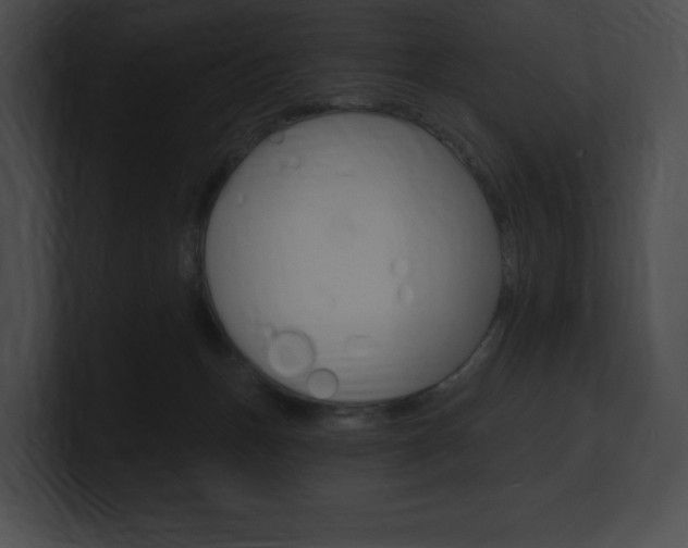 X0000101160175200806270740