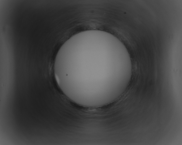 X0000101160177200806270740