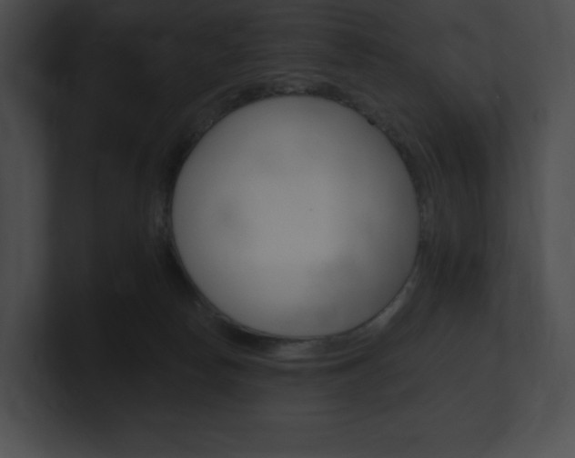X0000101160178200806270740