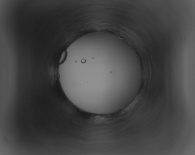 X0000101160180200806270740