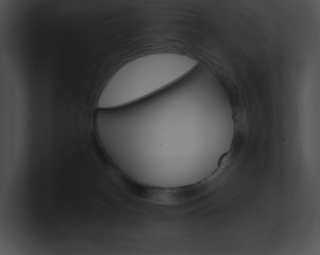 X0000101160182200806270740