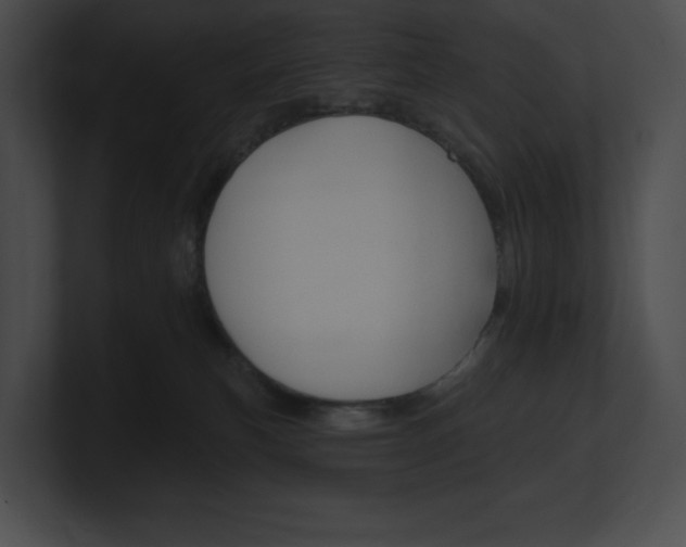 X0000101160183200806270740
