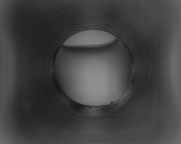 X0000101160186200806270740