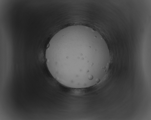 X0000101160187200806270740