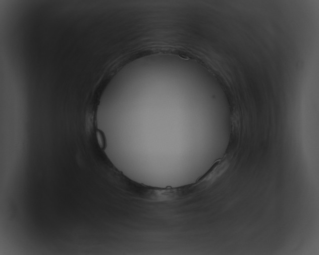X0000101160188200806270740