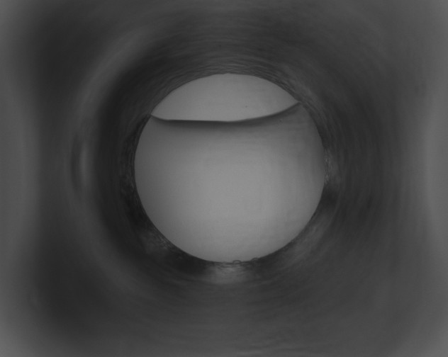 X0000101160189200806270740
