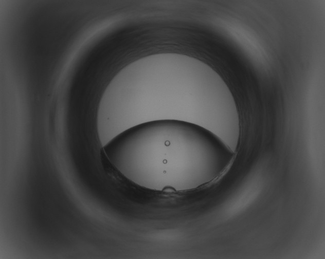 X0000101160190200806270740