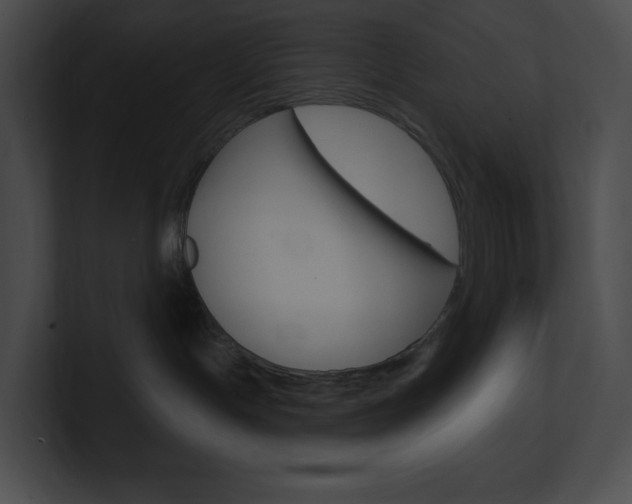X0000101160191200806270740
