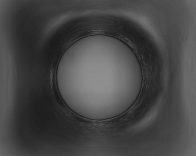 X0000101160194200806270740