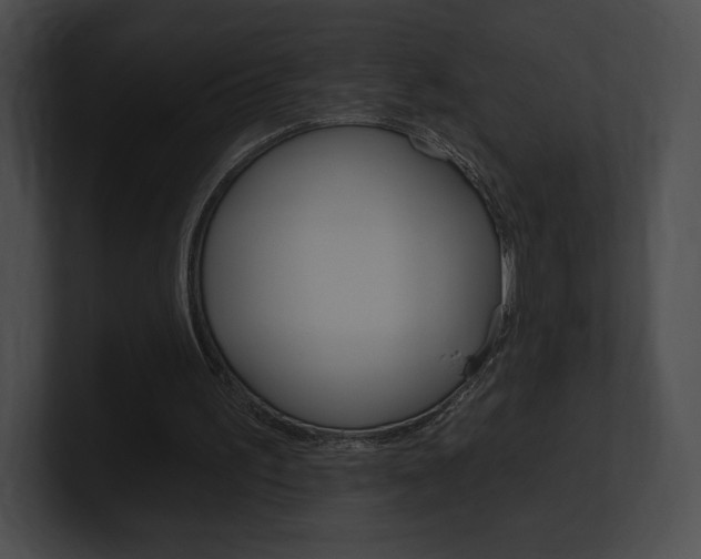 X0000101160195200806270740