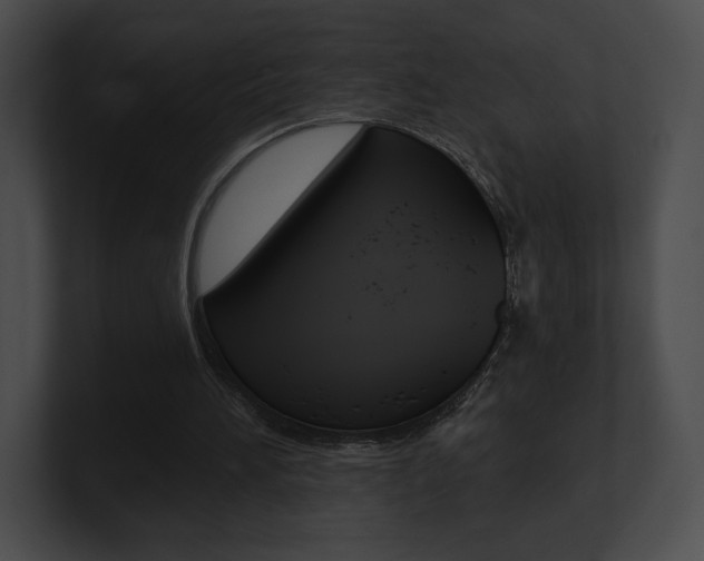 X0000101160196200806270740