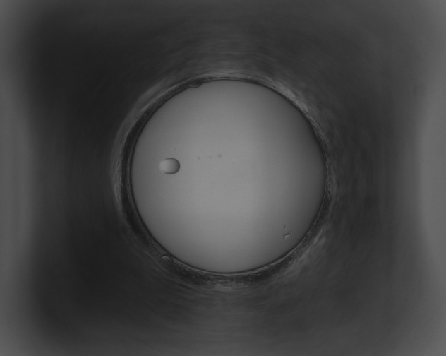X0000101160199200806270740