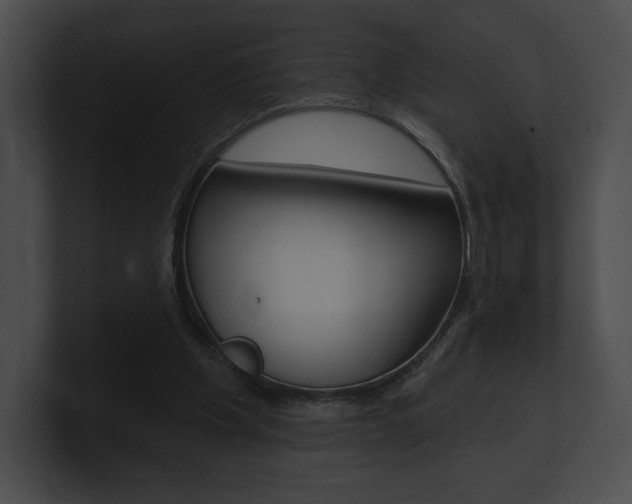 X0000101160201200806270740