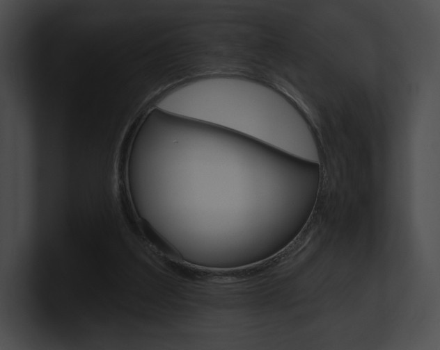 X0000101160203200806270740
