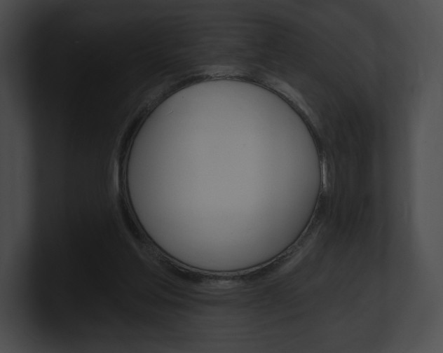 X0000101160205200806270740