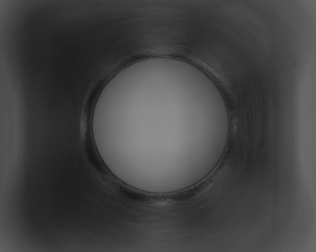 X0000101160206200806270740