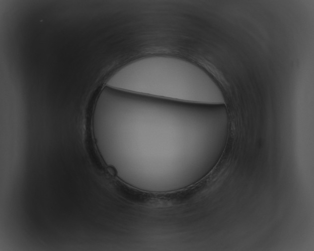 X0000101160207200806270740