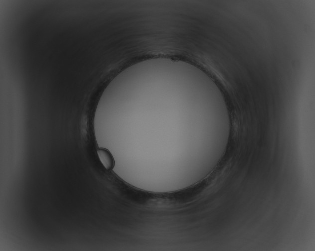 X0000101160211200806270740