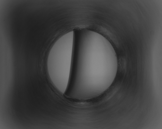 X0000101160212200806270740