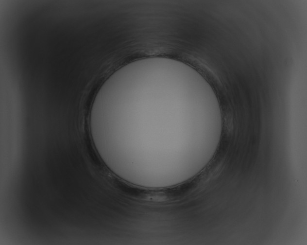 X0000101160214200806270739