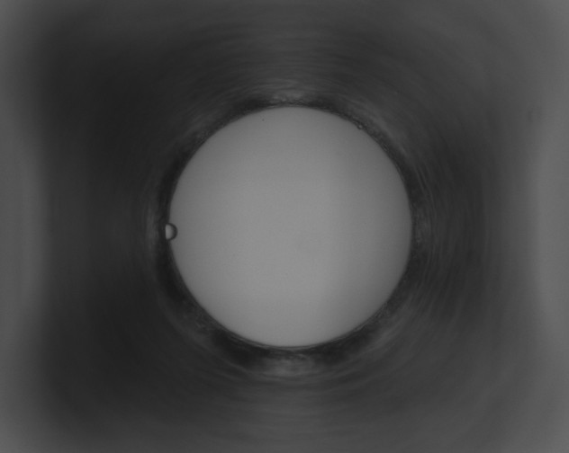 X0000101160215200806270739