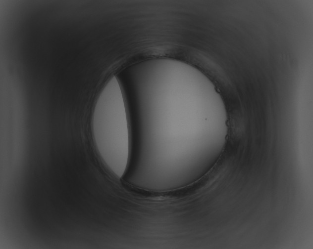 X0000101160216200806270739