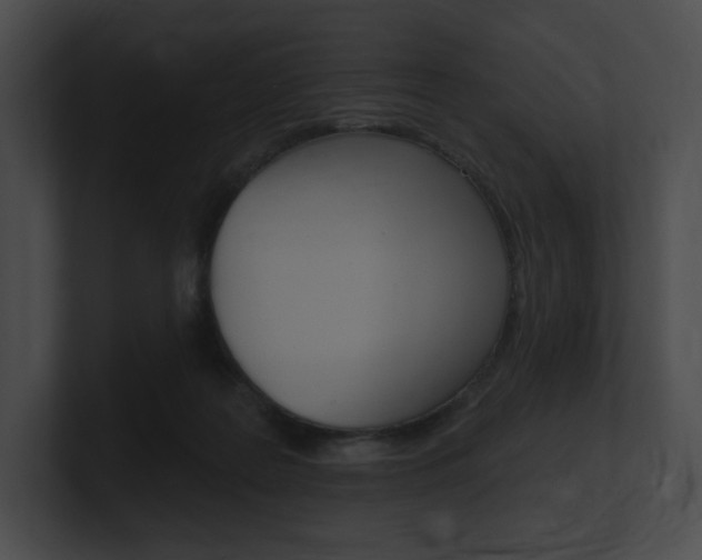 X0000101160219200806270739