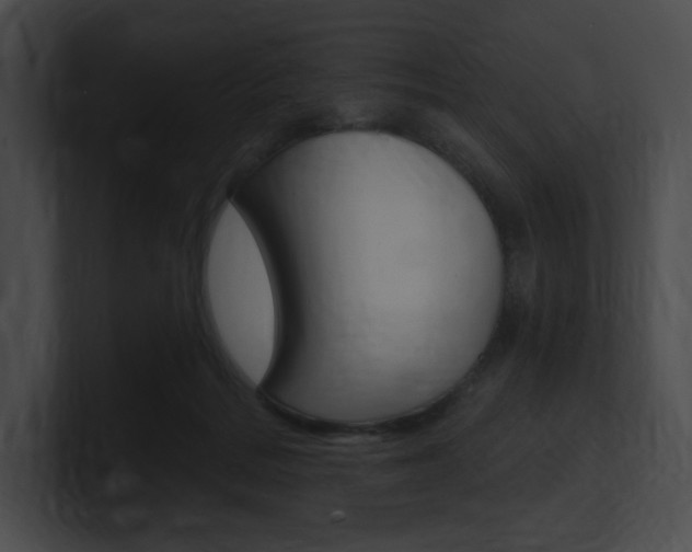 X0000101160220200806270739