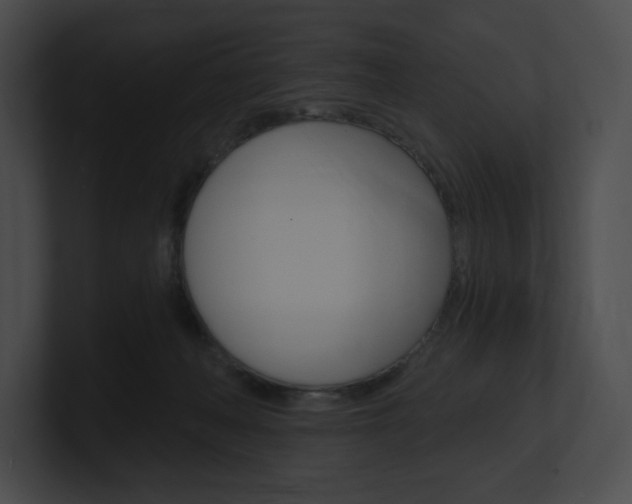 X0000101160222200806270739