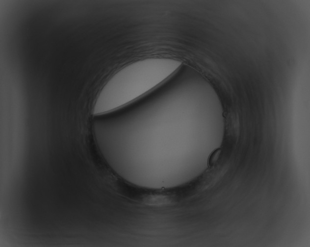 X0000101160224200806270739