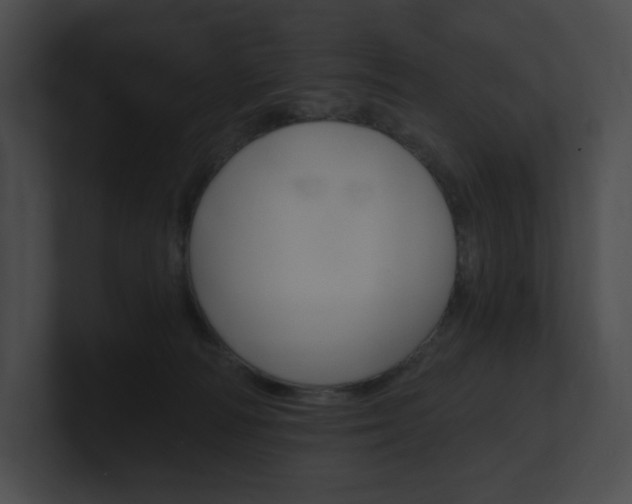 X0000101160226200806270739