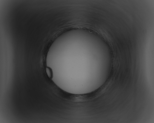 X0000101160229200806270739