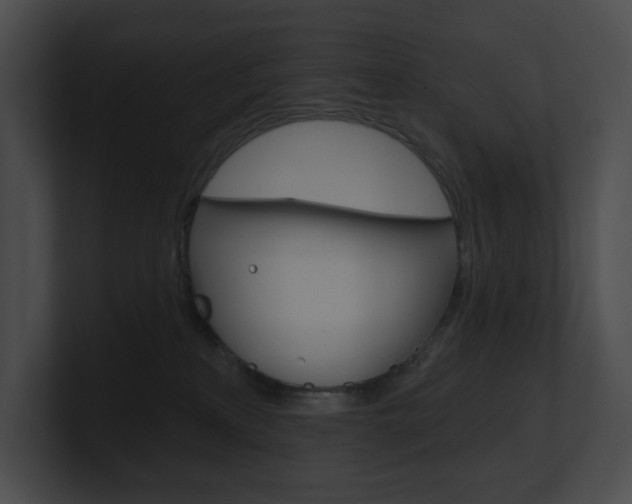 X0000101160233200806270739