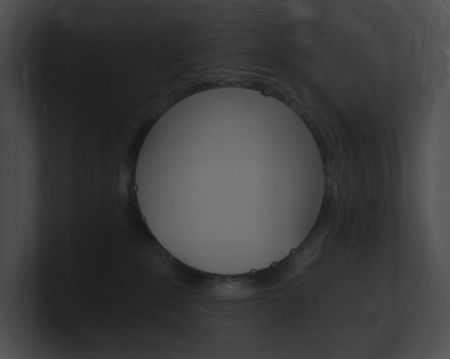 X0000101160235200806270739