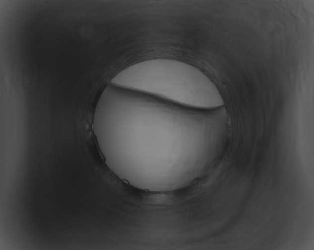 X0000101160237200806270739