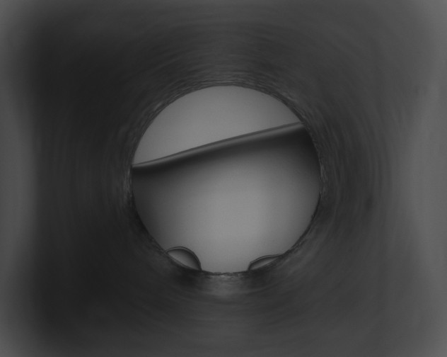 X0000101160240200806270739
