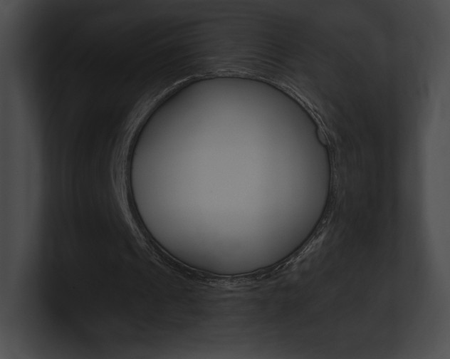 X0000101160241200806270739