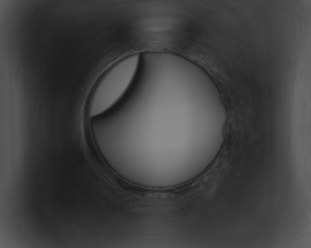 X0000101160242200806270739