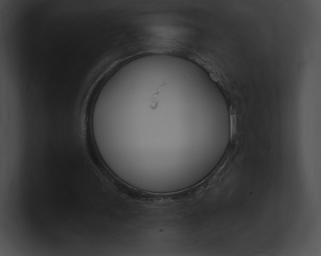 X0000101160243200806270739