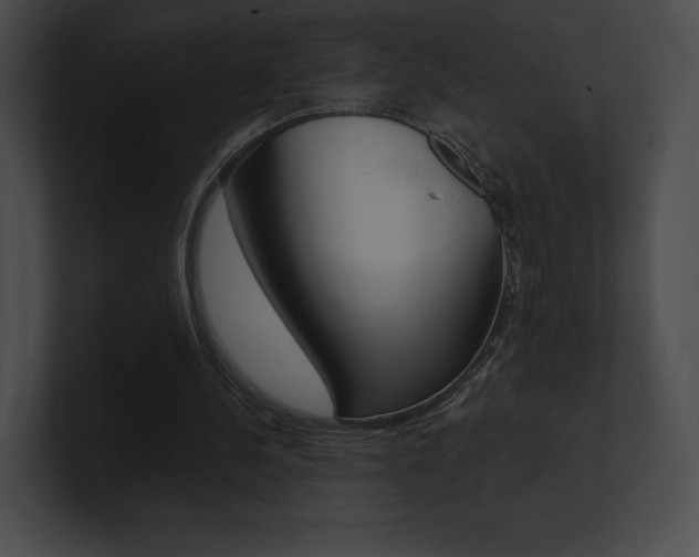 X0000101160244200806270739