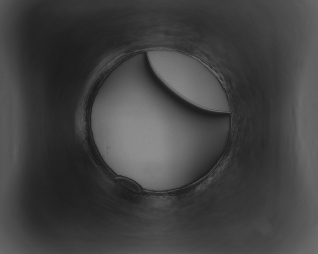 X0000101160245200806270739
