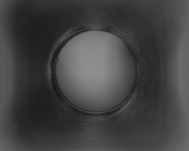 X0000101160246200806270739