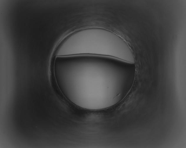 X0000101160248200806270739
