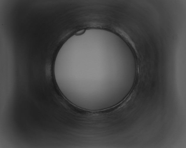 X0000101160249200806270739