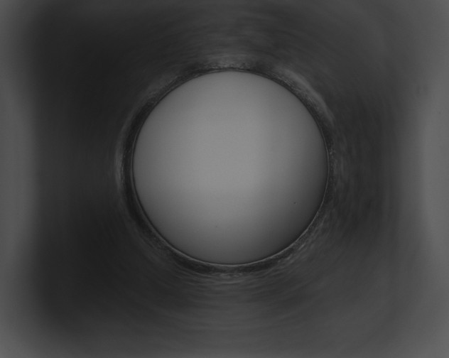 X0000101160250200806270739