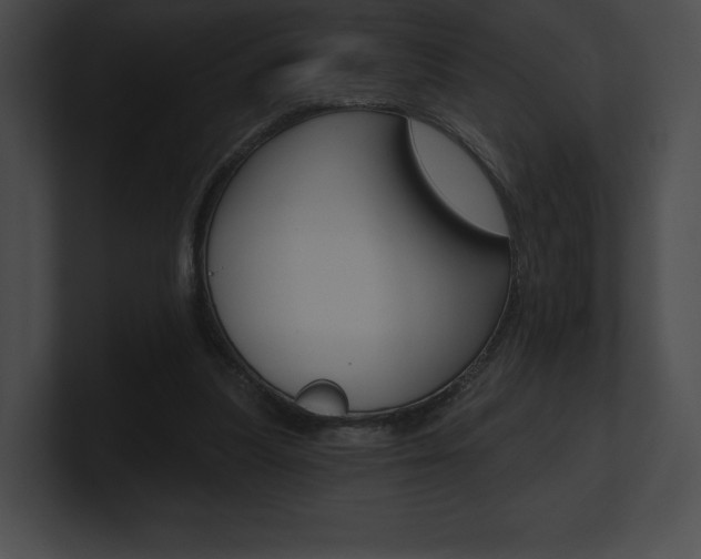 X0000101160251200806270739