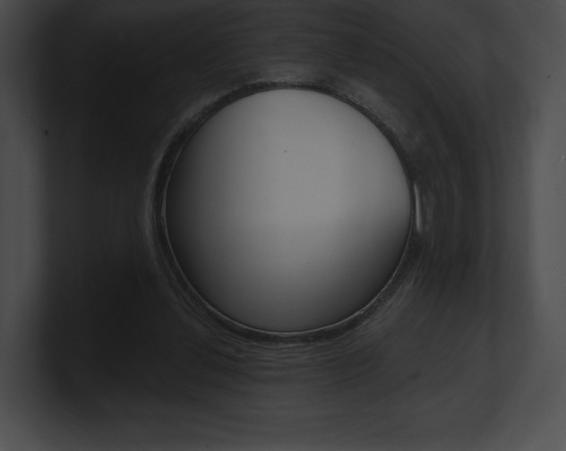 X0000101160252200806270739