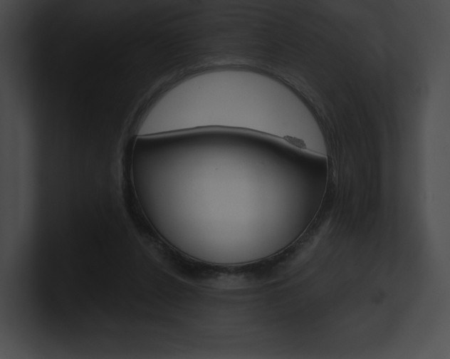 X0000101160256200806270739